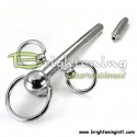 Prince Albert wand Penis Plug